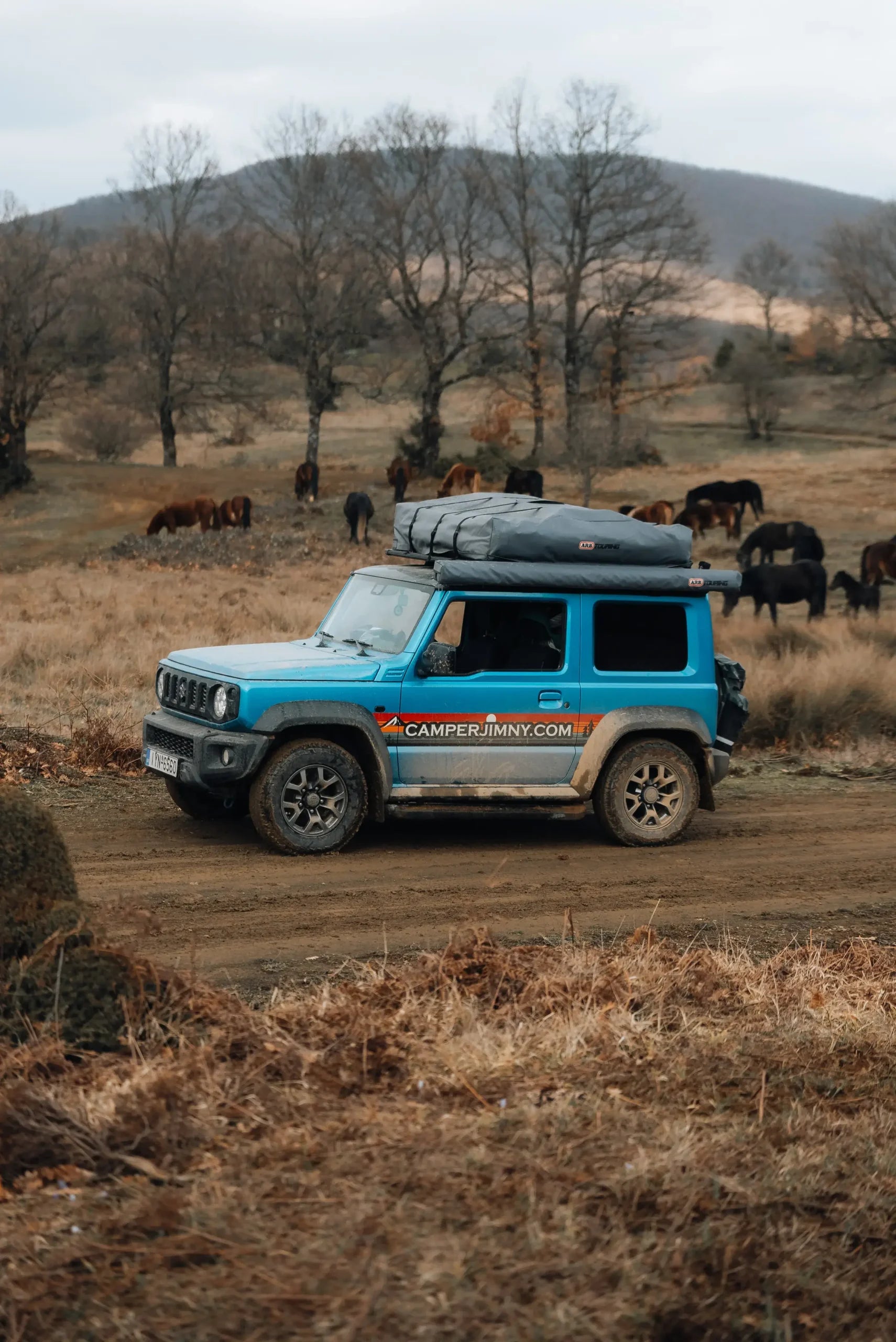Jimny Blue