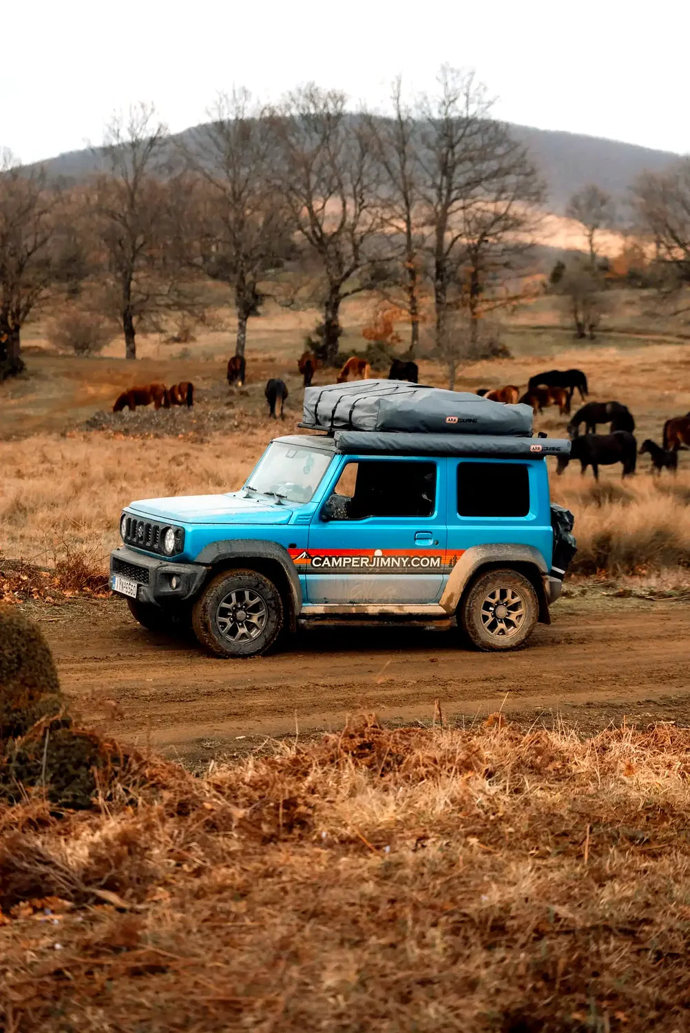 Jimny Blue