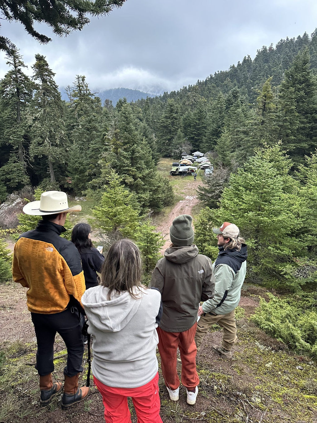 The group looking out over a forest track in the Evia mountains