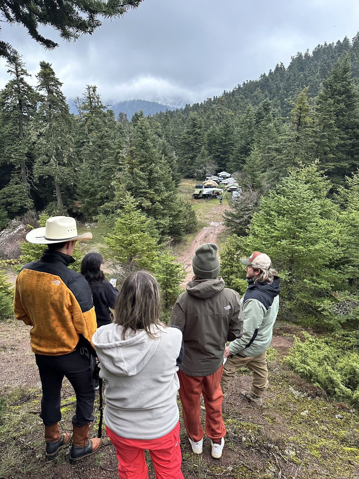 The group looking out over a forest track in the Evia mountains