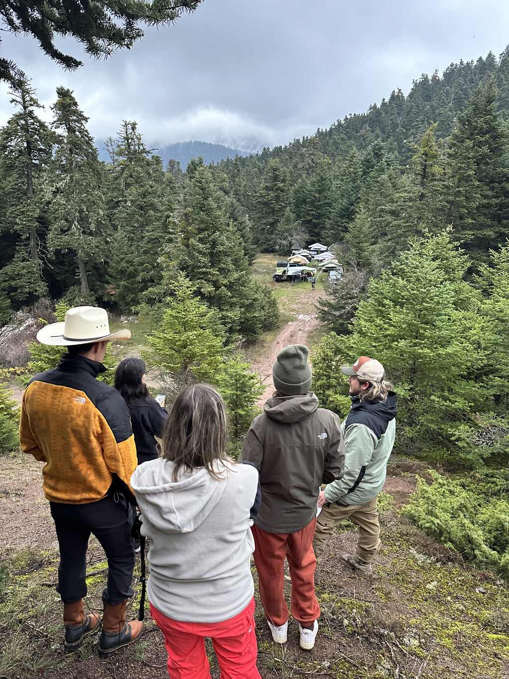 The group looking out over a forest track in the Evia mountains